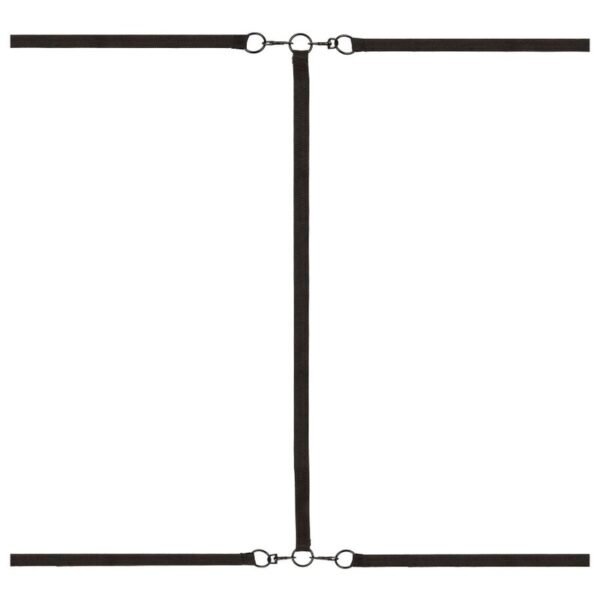 img_110307_877697aa463058900a585d5d7c55b0bf_1.jpg CALEXOTICS - RETENUE ROUGE SANS LIMITES