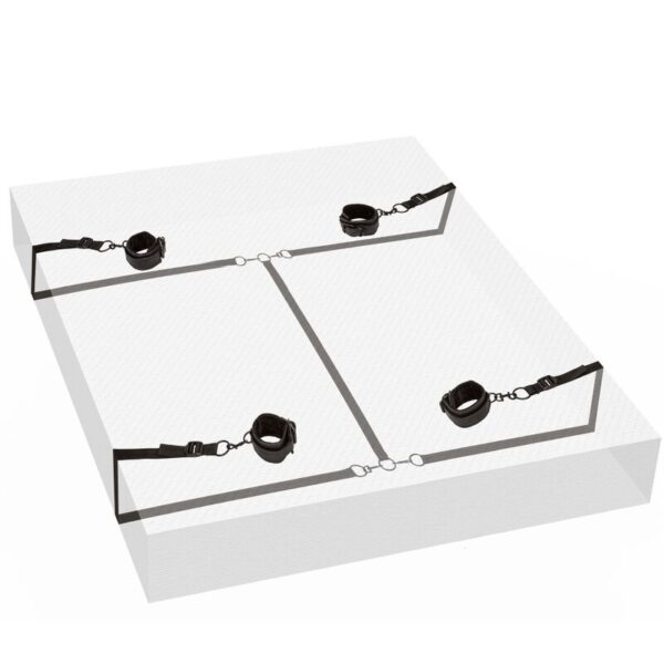 img_110309_874190f9d0f2542aace598a1fcde5815_1.jpg CALEXOTICS - RETENUE ROUGE SANS LIMITES