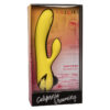 CALEXOTICS - SAN DIEGO SÉDUCTION