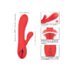 CALEXOTICS - PALISADES PASSION ROUGE