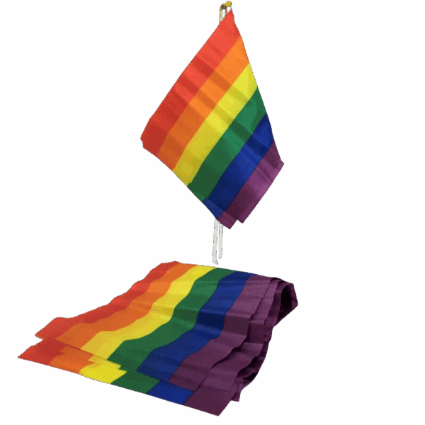 PRIDE - PETITE BANNIÈRE DRAPEAU LGBT