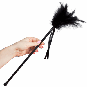 SECRETPLAY - PLUMES NOIRES 40 CM