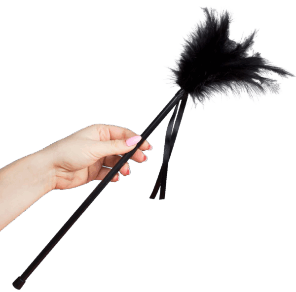 SECRETPLAY - PLUMES NOIRES 40 CM