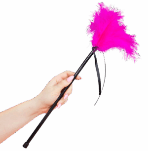 SECRETPLAY - PLUMES ROSE 40 CM
