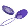 PRETTY LOVE - BERGER YOUTH OEUF VIBRANT TÉLÉCOMMANDÉ VIOLET