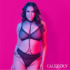 CALEXOTICS - EUPHORIA COLLIER LICOL ET LAISSE GRANDE TAILLE