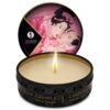 SHUNGA - MINI CARESSE À LA BOUGIE PRÉSENTOIR BOUGIES DE MASSAGE 24 UNITÉS