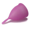 NINA KIKÍ - COUPE MENSTRUELLE VIOLET TAILLE L 6 + 1 GRATUITE